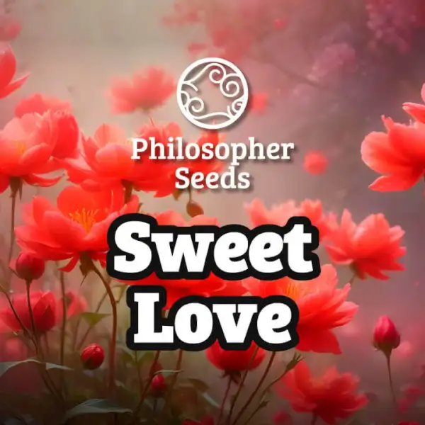 Sweet Love