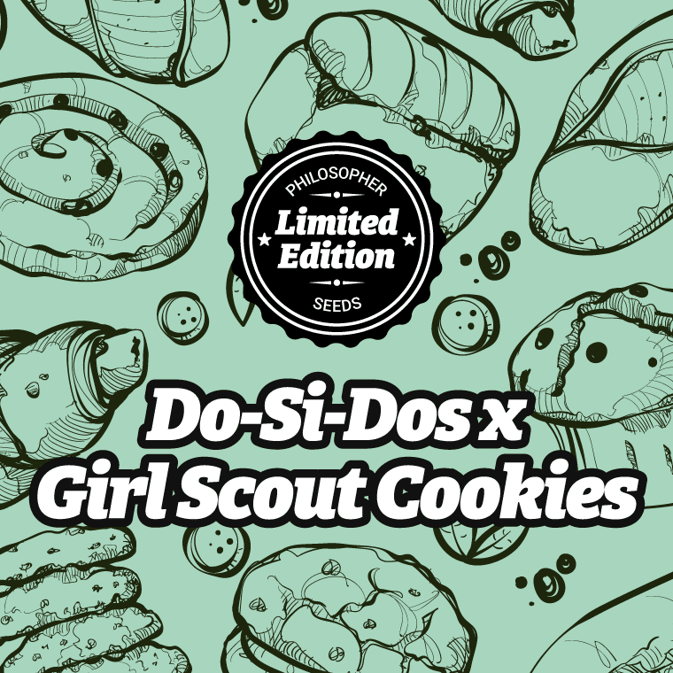 Do-Si-Dos x Girl Scout Cookies 