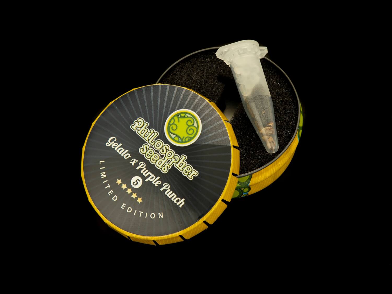 Gelato x Purple Punch