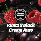 Runtz x Black Cream (Fast Version)