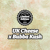 Promo UK Cheese x Bubba Kush