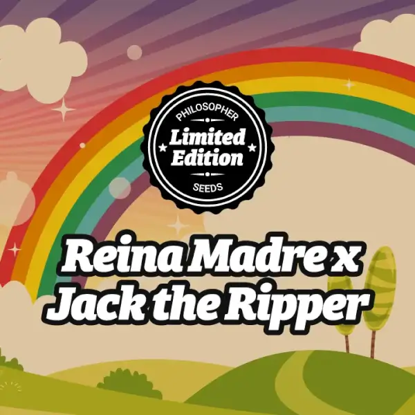 Reina Madre x Jack the Ripper