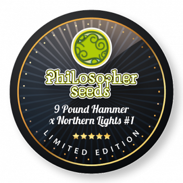 9 Pound Hammer x NL #1