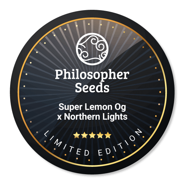 Super Lemon Og x Northern Lights 