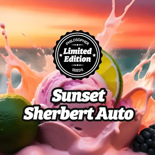 Sunset Sherbert Auto