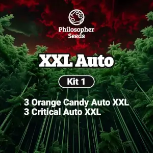 Kit XXL Auto