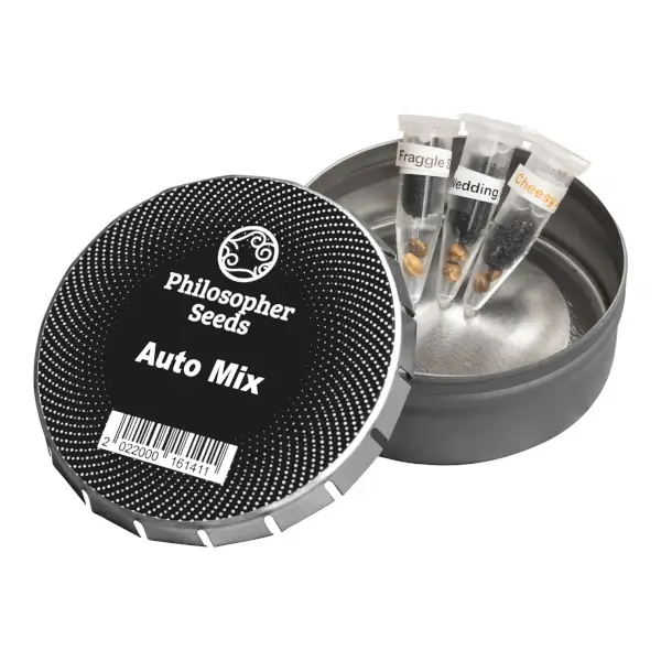 Auto Mix