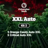 Kit XXL Auto