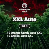 Kit XXL Auto