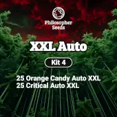 Kit XXL Auto