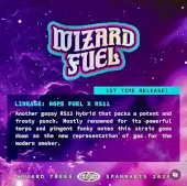 Wizard Fuel