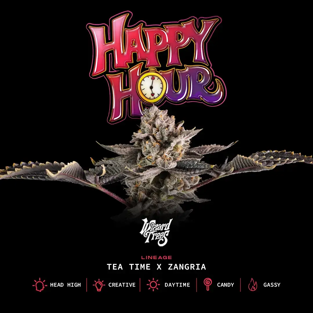 happy-hour-3-seeds.webp
