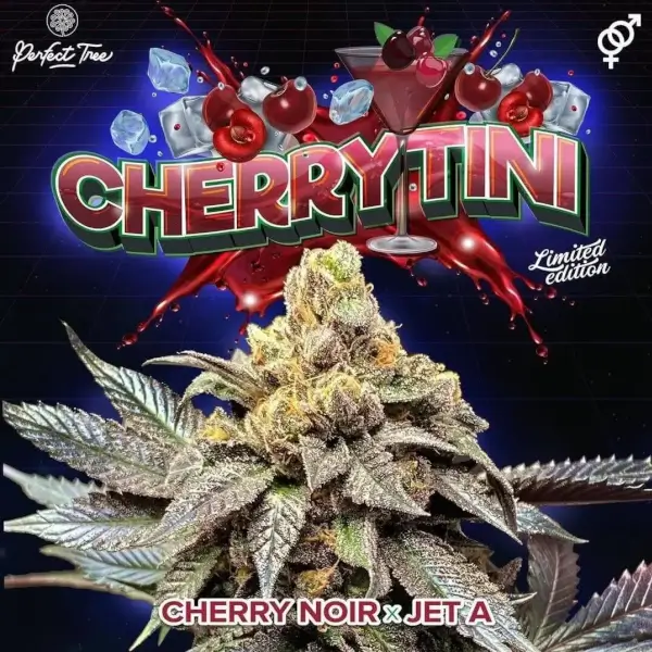 Cherrytini Regular