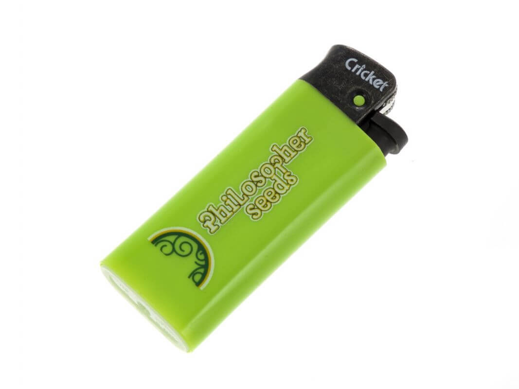 Philosopher Seeds Lighter