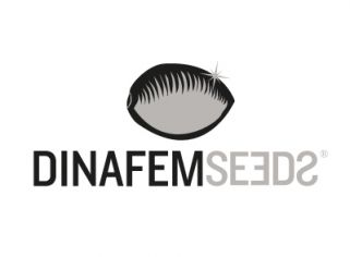 DINAFEM