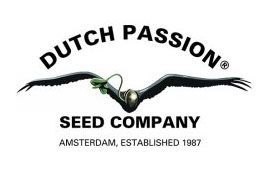 Dutch Passion