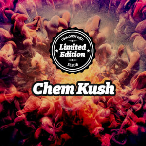 Chem Kush (GMO)