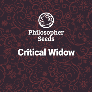 Critical Widow Fem Promo Philosopher Seeds