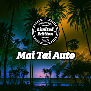 Mai Tai Auto