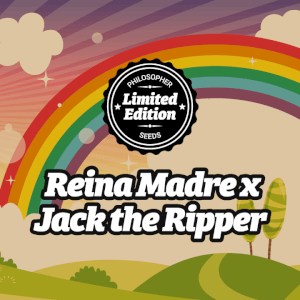 Reina Madre x Jack the Ripper