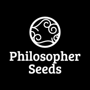 Wedding Cake Auto Promo Philosopher Seeds