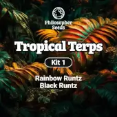 Kit Tropical Terps