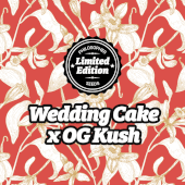 Wedding Cake x Og Kush