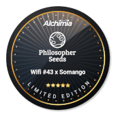 Wifi #43 x Somango
