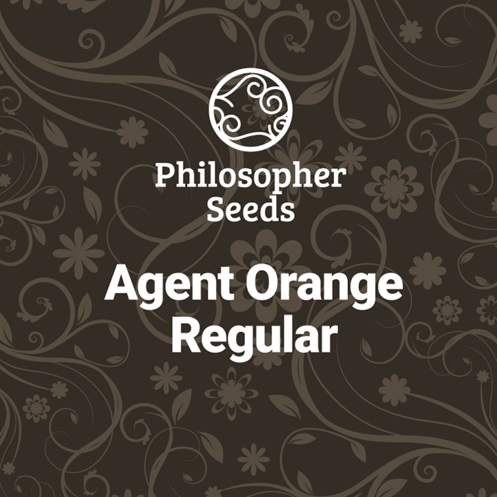 Agent Orange Regular