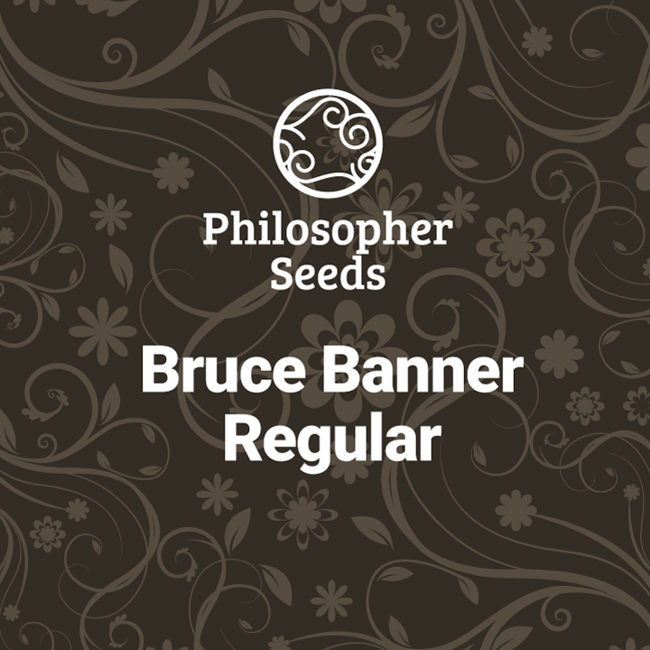 Bruce Banner Regular