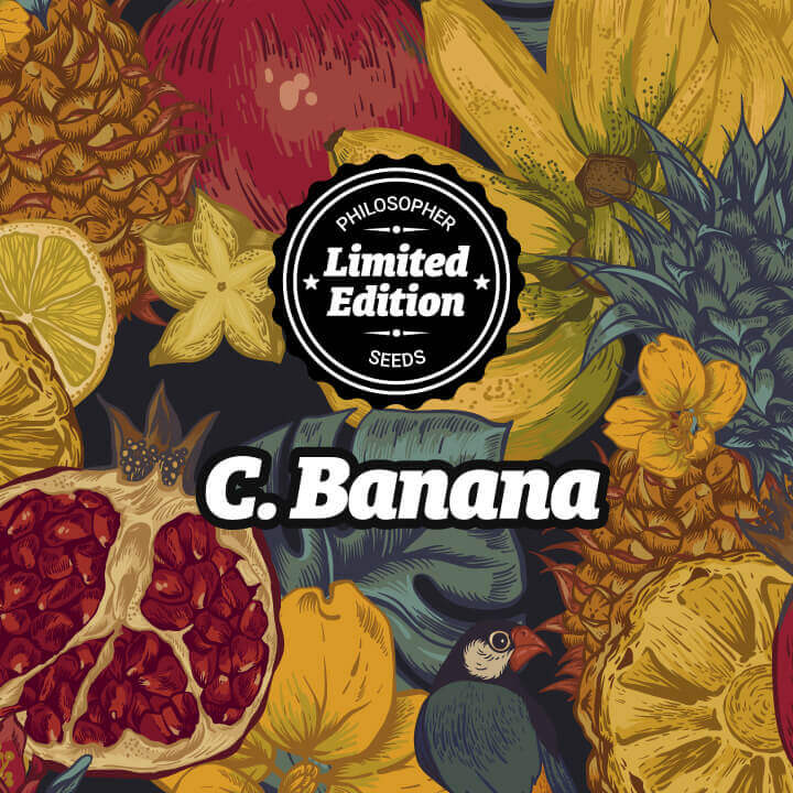 C.Banana