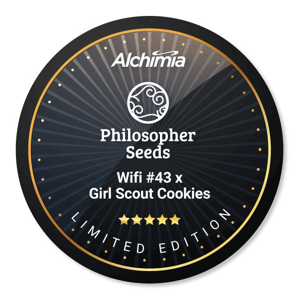 Wifi #43 x Girl Scout Cookies 