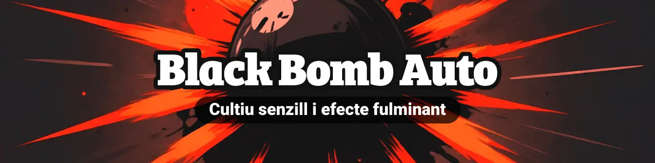 Black Bomb Auto