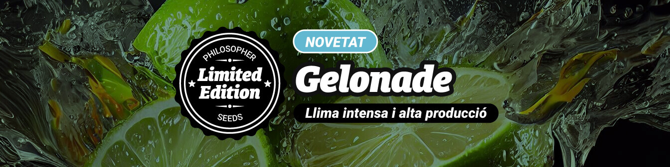 Gelonade