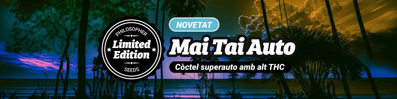 Mai Tai Auto