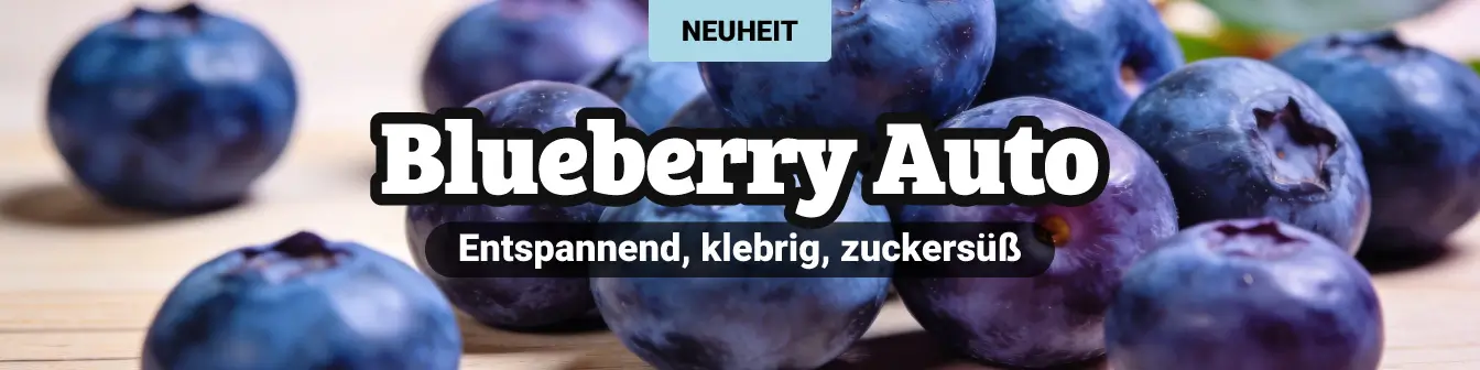 Blueberry Auto