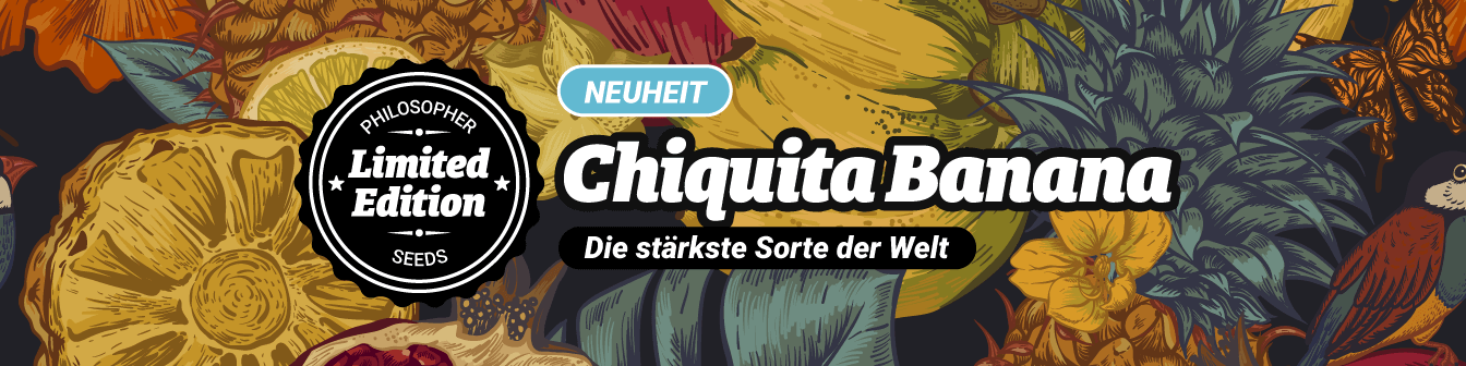 Chiquita Banana