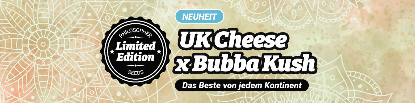 UK Cheese x Bubba Kush