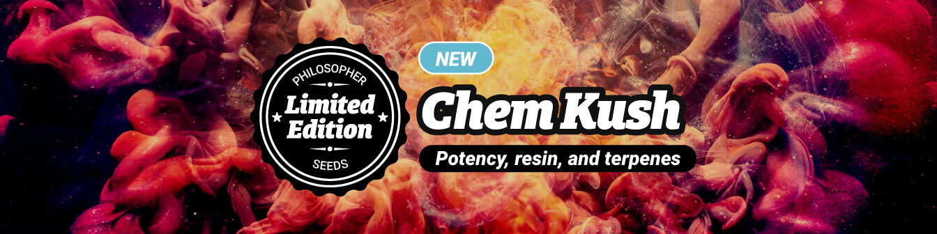 Chem Kush