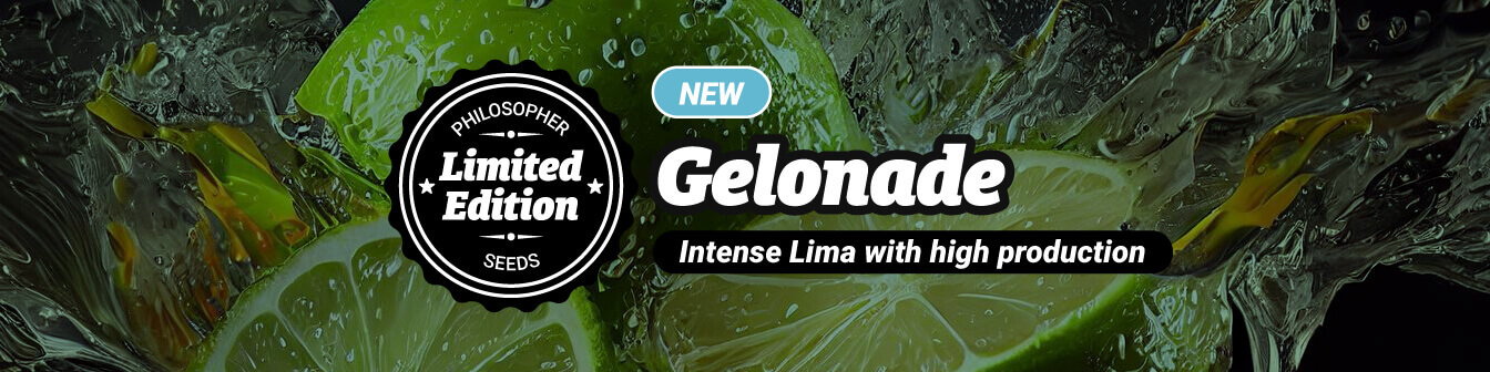 Gelonade