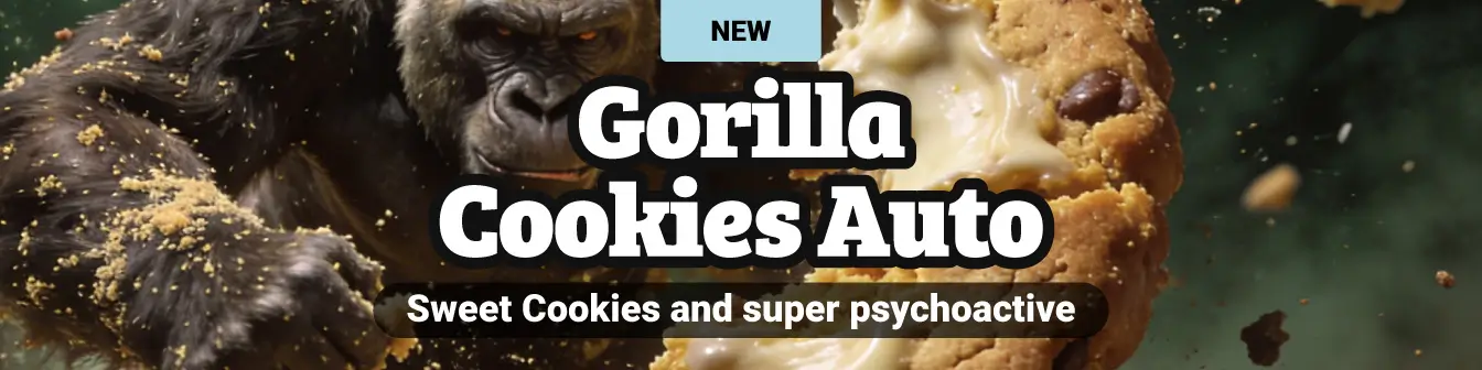 Gorilla Cookies Auto