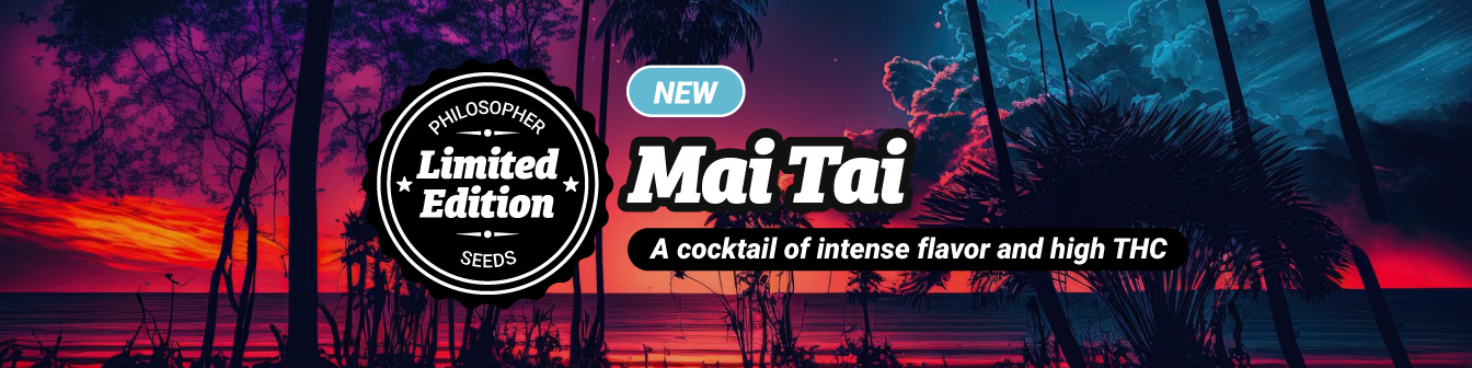 Mai Tai