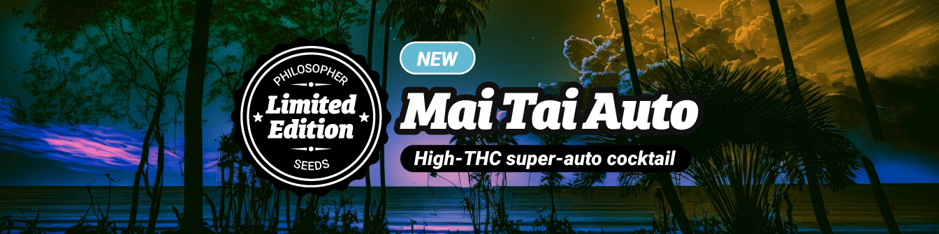 Mai Tai Auto