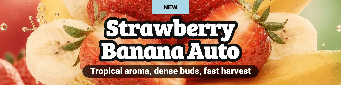 Strawberry Banana Auto