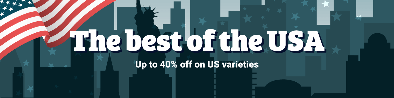 The Best of USA Dec22