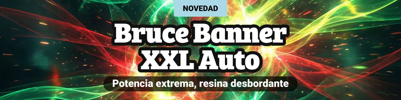 Bruce Banner XXL Auto