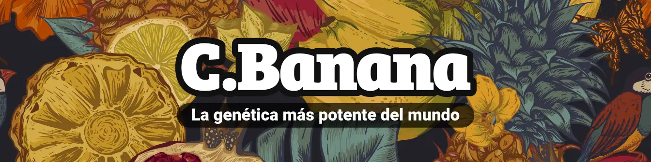 C. Banana