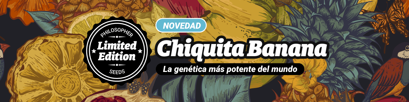 Chiquita Banana