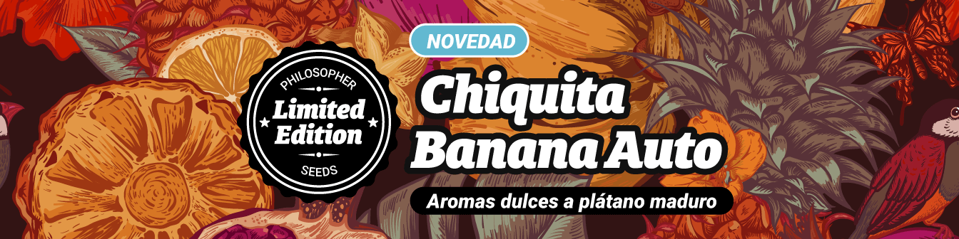 Chiquita banana auto 23
