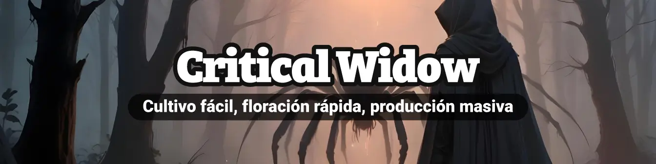 Critical widow